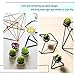 Swpeet 12Pcs Decorative Succulent Cactus Tealight Candles Kit, Cute Smokeless Succulent Plants Perfect for Candles Festival Wedding Props and House-Warming Party (N0.7-Candle)