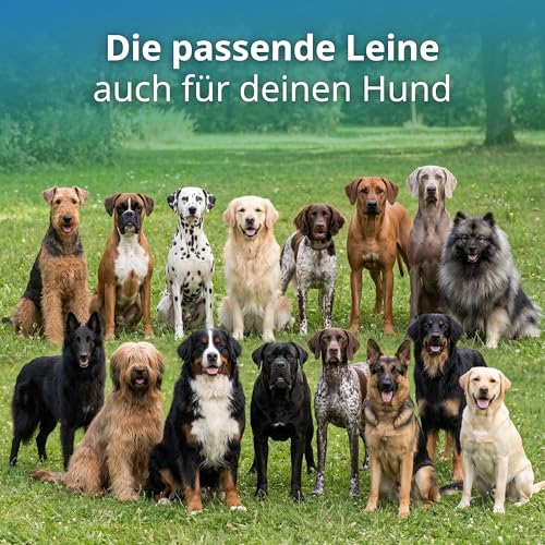 Activity4Dogs Anti-Slip Hundeleine rot 2,80m – Gummierte Führleine rutschfest & 4-Fach verstellbar – Testsieger 2025 und 2026 – Made in Germany – Robuste Trainingsleine für große & mittelgroße Hunde