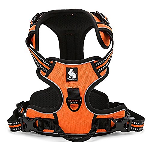 EXPAWLORER Best No-Pull Dog Harness Reflective Outdoor Adventure Pet Vest with Handle. 3 Stylish Colors and 5 Sizes.