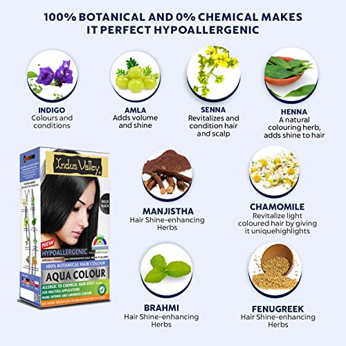 Image of INDUS VALLEY Hypo Allergic Aqua Colour 100% botanical hair Colour Indus Black-(30ml + 200g)