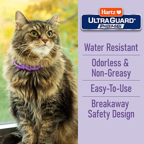 Hartz UltraGuard ProMax Flea & Tick Collar for Cats & Kittens I 14 Months Protection I Soft & Comfortable | Kills Fleas, Ticks, and Larvae I 2 Pack - Image 5