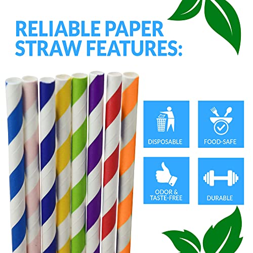 Pitillos de papel biodegradables surtidos 400 unidades miniatura 5