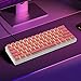 Happy Balls Pudding Keycaps Backlit PBT Keyset Translucent OEM Profile for 61 87 104 108 MX Switches Mechanical Keyboards (Pink Pudding Keycaps)