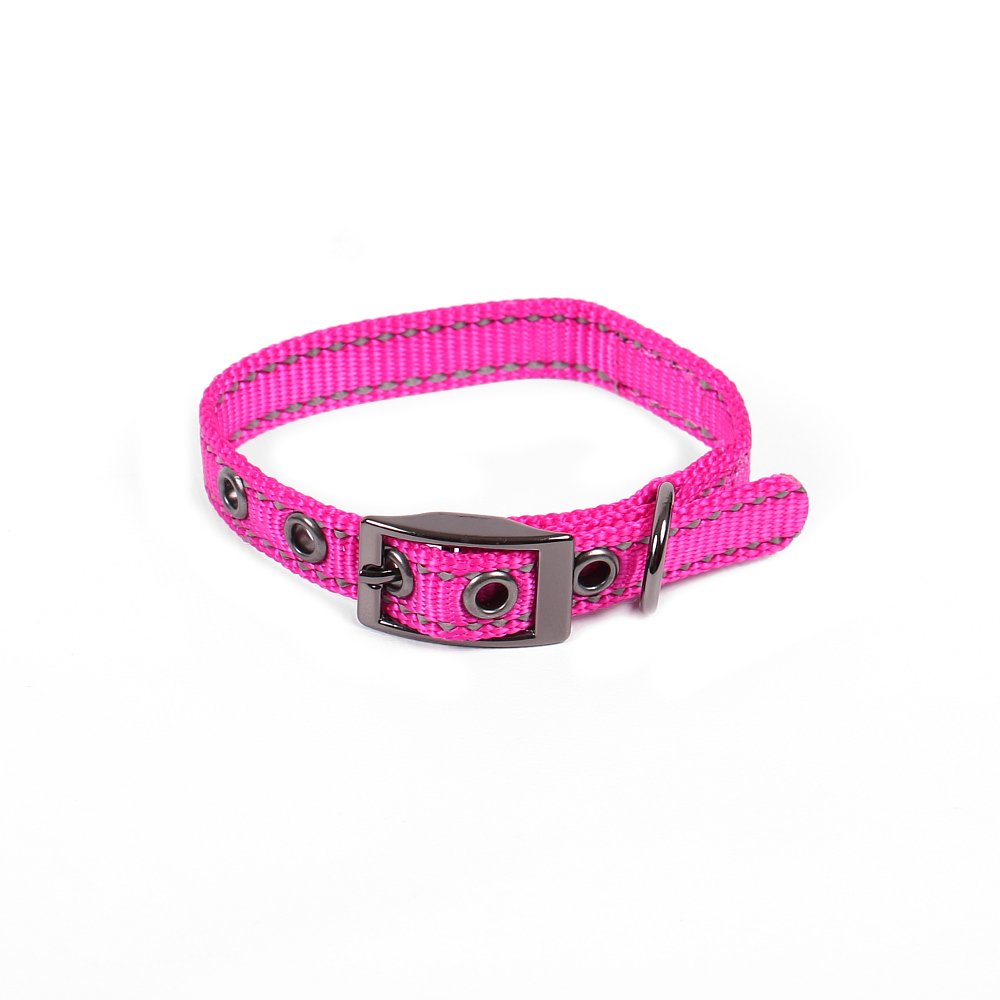 Max and Neo MAX Reflective Metal Buckle Dog Collar