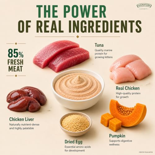 Image of Grain Zero Kitten Wet Mousse 80g Pack of 5, 400g | Tuna Flavour | Rich in Protein, Hydrating & Easy to Digest | Grain Free, No Artificial Flavours | with Essential Vitamins & Antioxidants