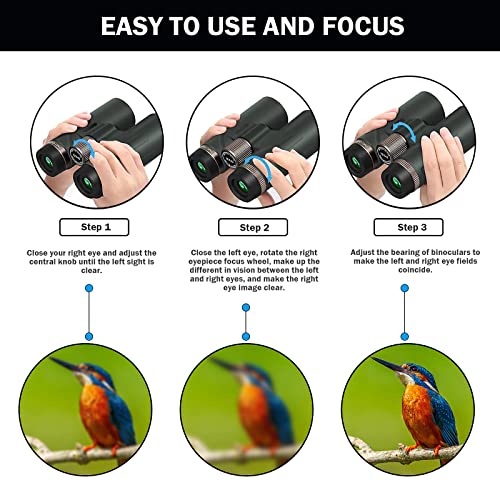 inRobert Fernglas for Erwachsene, 12 x 42 HD Wasserdichtes Nachtsicht Fernglas mit FMC-Objektiv, Koffer und Trageriemen… – Bild 5