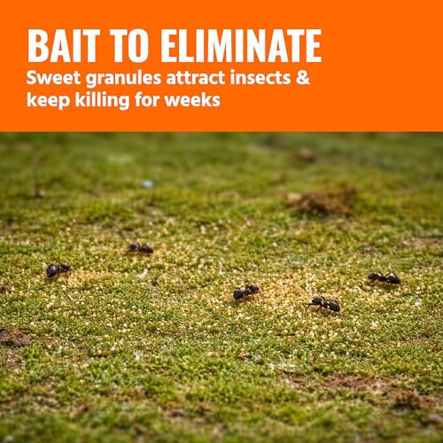 Image of TERRO Perimeter Outdoor Ant Bait Plus, 2-Pack, 2 lb Shaker Canisters | Attracts and Kills Carpenter Ants, Roaches, Crickets, Earwigs, Silverfish, Slugs & Snails for Pest Control, 4-Week Protection