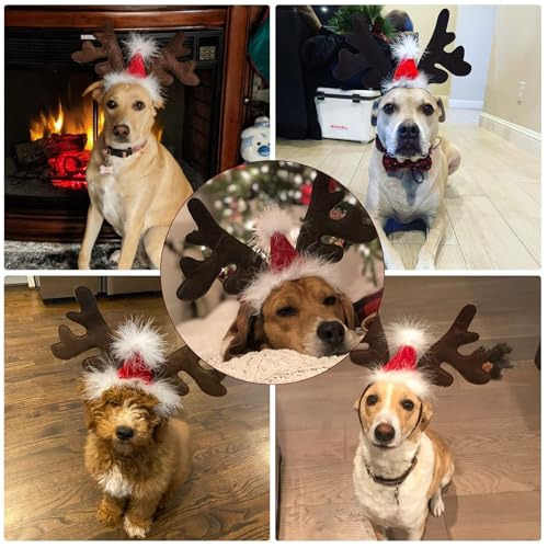 Rentiergeweih Hund, Weihnachten Haustier Stirnband, Verstellbarer Rentier Geweih für Hunde, Rentier Haarreif Hund, Hunde Weihnachtskostüm, für Katzen und Hundes im Winter und zu Weihnachten (A)