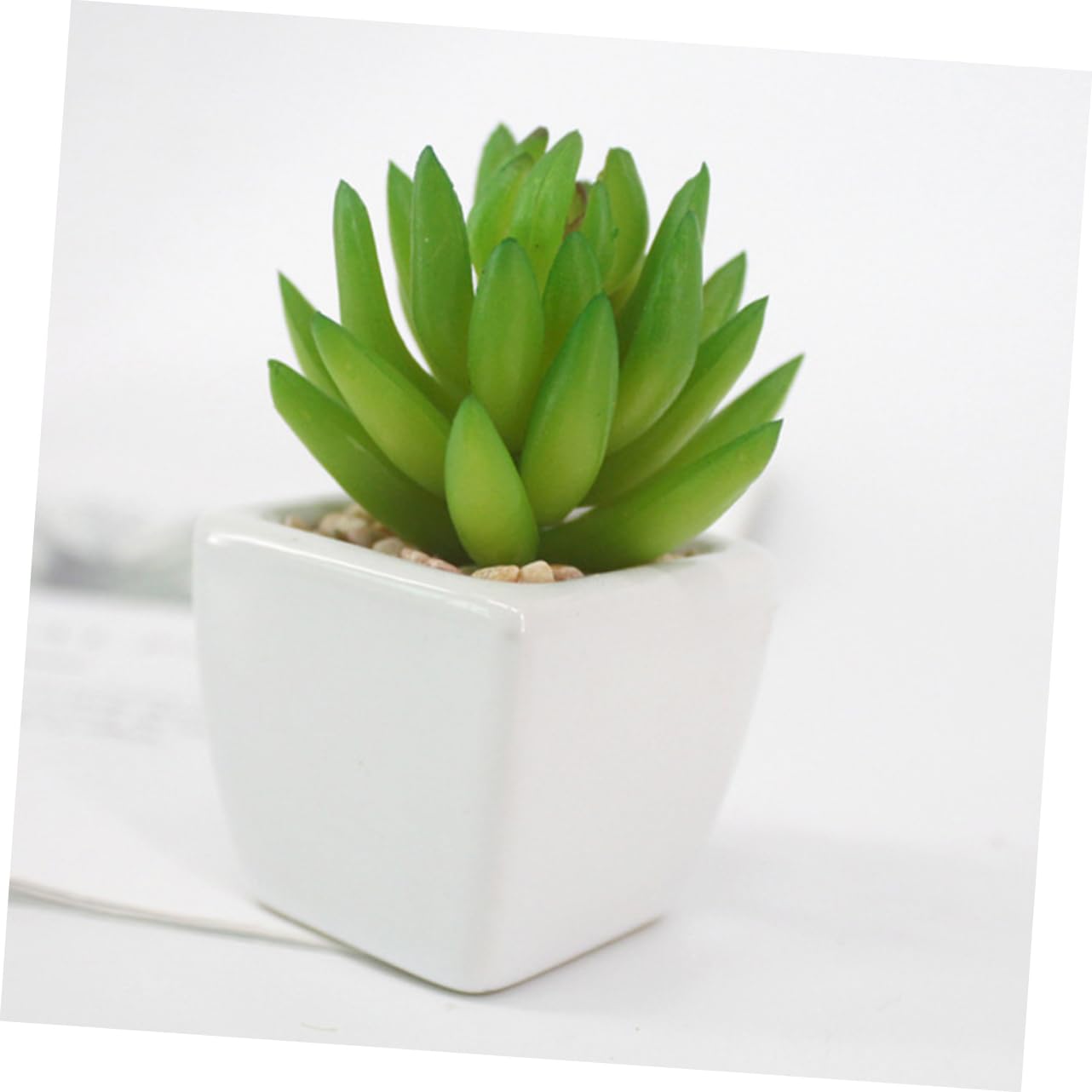 Succulente Artificielle Lot de 6 en Pot Céramique Mini Set de Pièces
