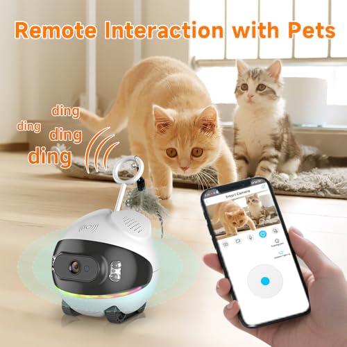 Pet Camera Robot with Cat Teaser: Battery-Operated, Movable with Phone App, 2-Way Talk, Video/Photo, Night Vision - Image 2