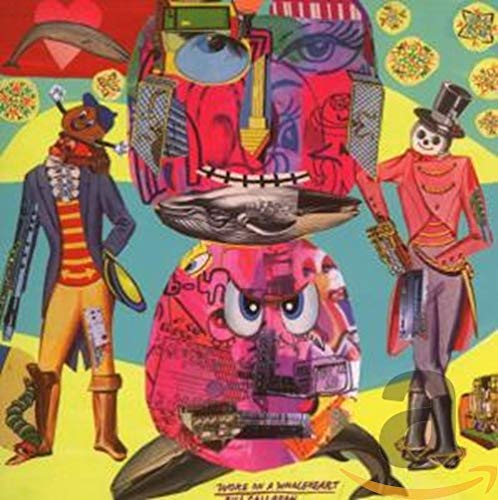 Woke On A Whaleheart : Bill Callahan - CD Album