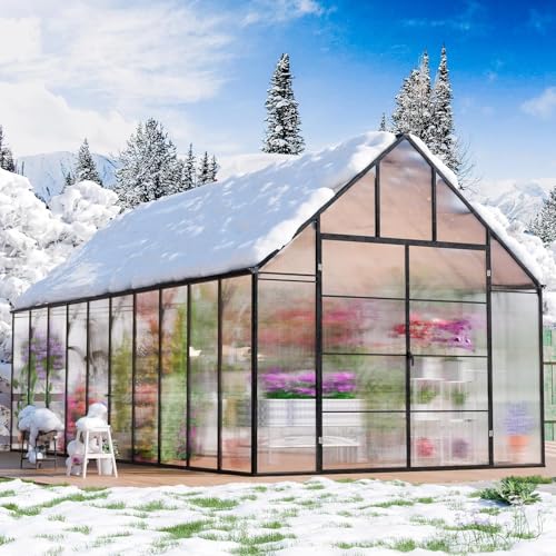 CDCASA 20x10x10 Greenhouse