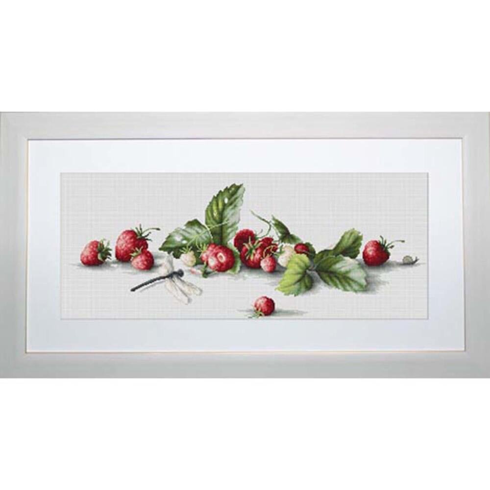 Lucas Multi-Colour Luca-S Strawberries Counted Cross Stitch Kit, Pack Of 1