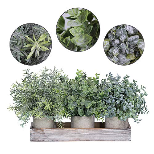 image for Winlyn Set of 3 Mini Potted Artificial Eucalyptus Plants Faux Rosemary