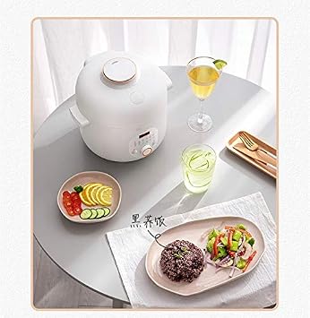 Electric Rice Cooker 400W, 2L Automatic Multi Cooking Pot with Non-stick Inner for Starch Removal and Lower Sugar