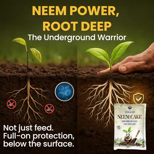 Image of Utkarsh Neem Cake Powder for Plants, Organic Neem Khali Fertilizer for Home Garden, Manure for Flowers, Vegetables & Lawn, Pest Repellent (5 Kg; Pack of 1)