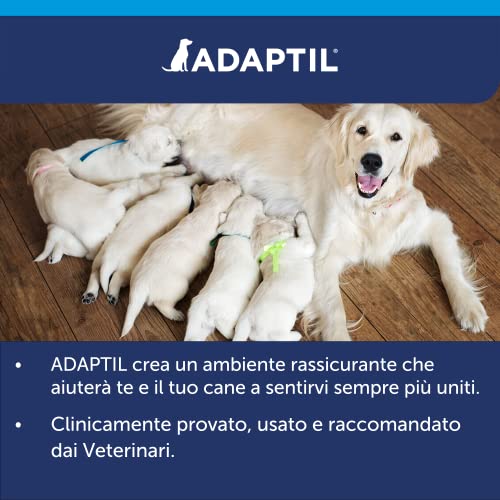 Adaptil Calm Sparpack mit 3 Nachfüllpackungen für 90 Tage – Anti-Stress für Hunde