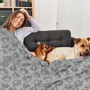 Pet-Blanket-for-Dogs-and-Cats-66-42-Inch-Soft-Cozy-Blanket-with-Lovely-Paw-Prints-Fit-for-Sofa-Bed-and-Floor-Grey - Cucciolini Doodles   Pet-Blanket-for-Dogs-and-Cats-66-42-Inch-Soft-Cozy-Blanket-with-Lovely-Paw-Prints-Fit-for-Sofa-Bed-and-Floor-Grey