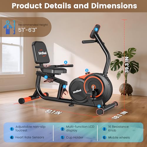 Image of Recumbent Exercise Bike for Home, Stationary Bike for Seniors