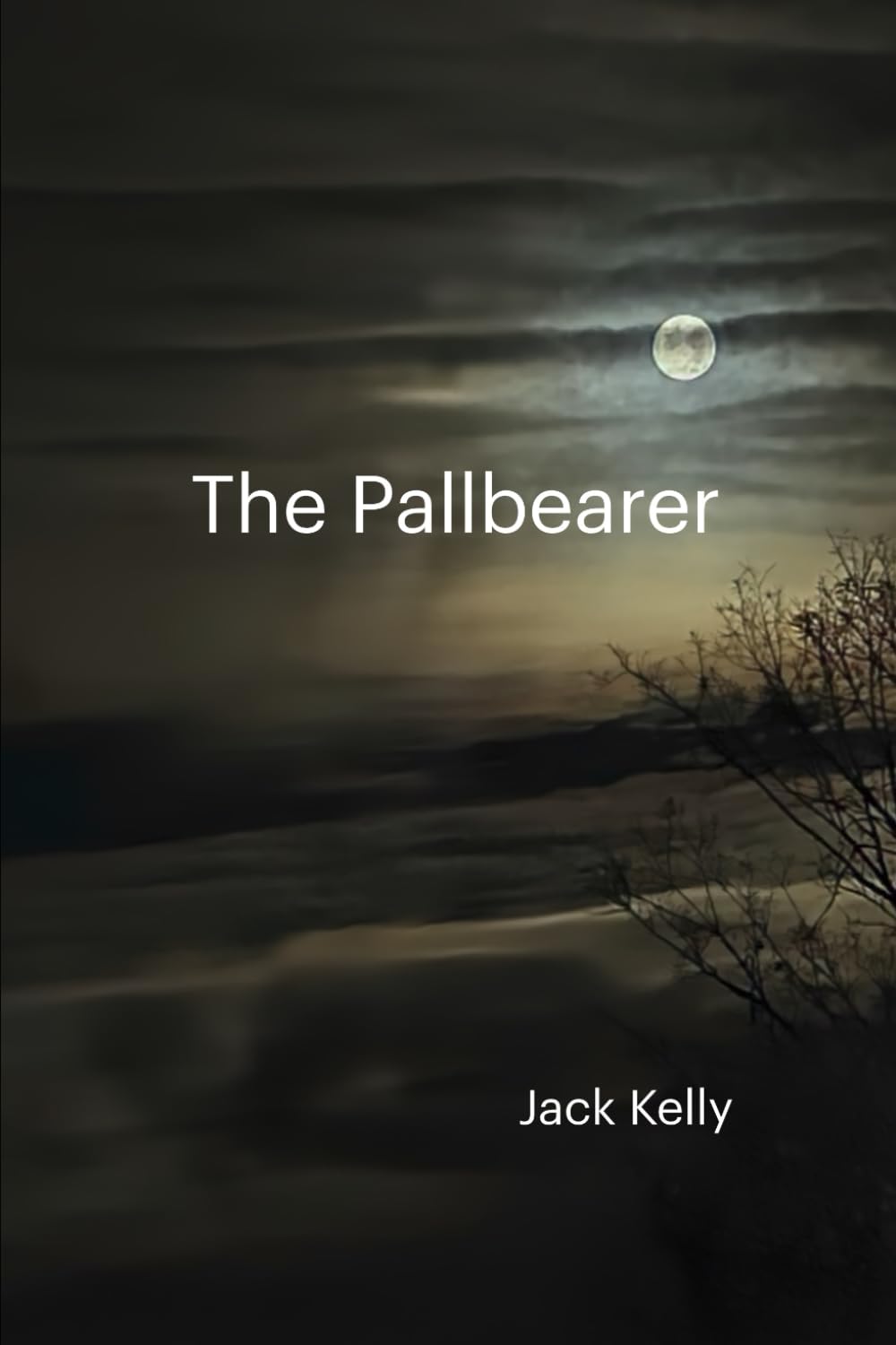 The Pallbearer (A Detective Viv Reyes Mystery series)