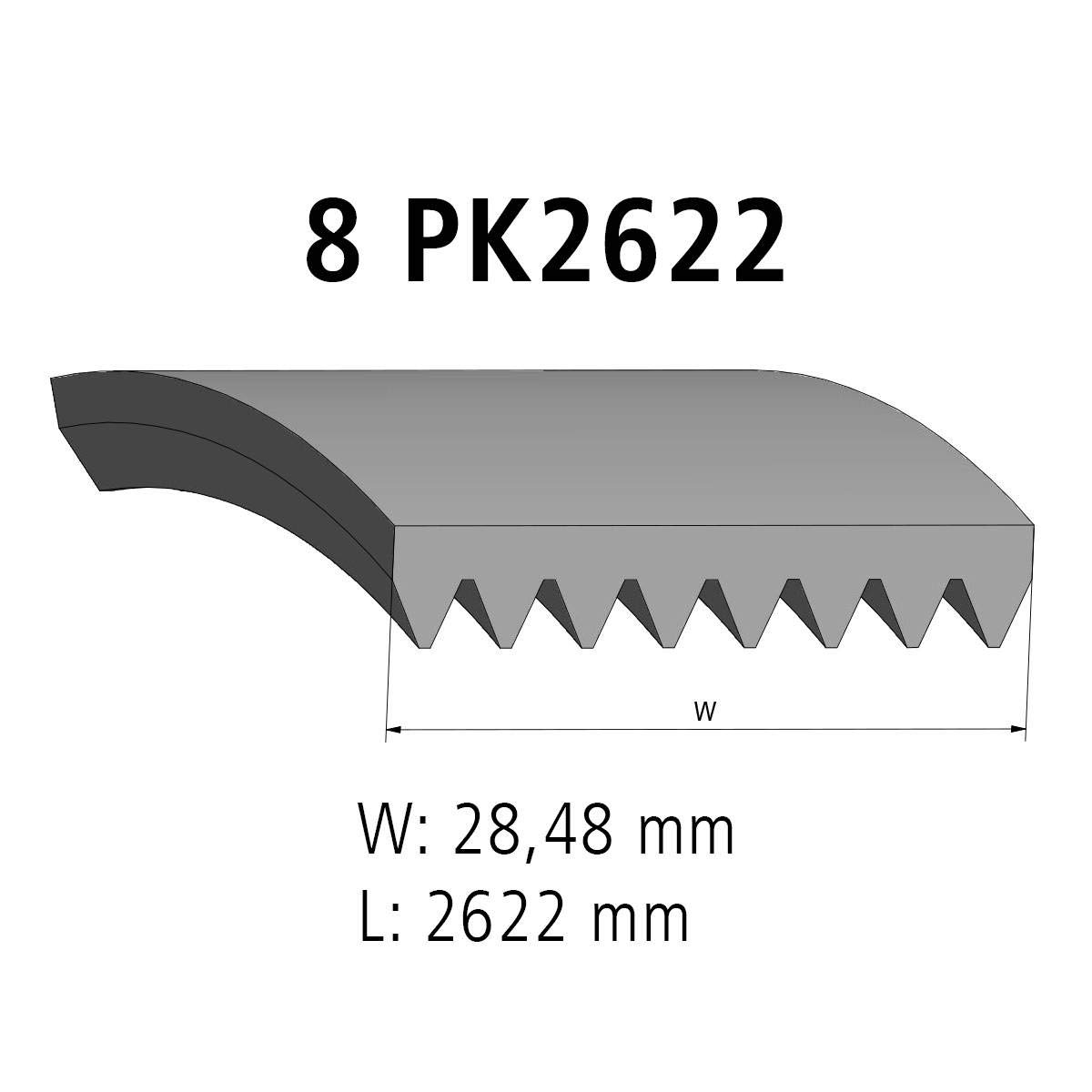 DT Spare Parts 4.81435 Cinghia servizi