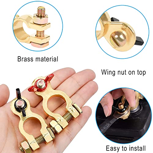 XOYTCVSYFS8 Terminali Morsetti di Batteria 12V /