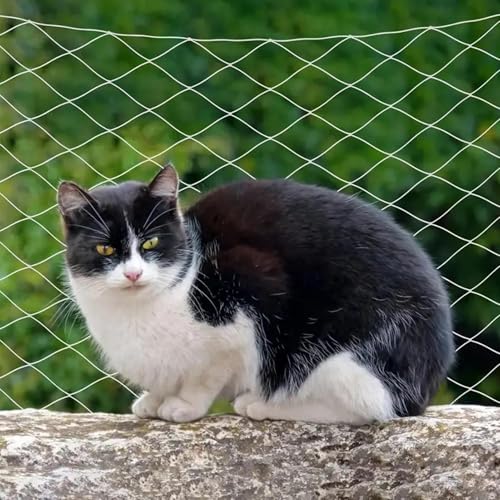 Filet de balcon pour chats de compagnie avec mailles de protection