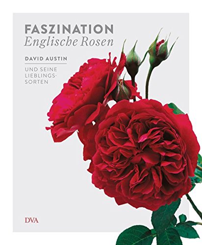 Faszination Englische Rosen: David Austin und seine Lieblingssorten Faszination Englische Rosen: David Austin und seine Lieblingssorten