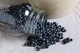 David's Garden Seeds Bean Dry Midnight Black Turtle Soup 8665 (Black) 100 Non-GMO, Heirloom Seeds