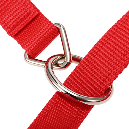 6 mm Verdikte paardenkop kraag verstelbare veiligheid halter brughoofdkollar (Color : Red S) - Afbeelding 5