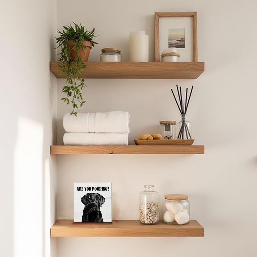 Funny Black Labrador Retriever Bathroom Wooden Box Sign, Are You Pooping Sign, Black Lab Gifts Wood Signs for Bathroom Restroom Toilet Half Bath Shelf Counter Decor, 5x5 Inch - Image 5