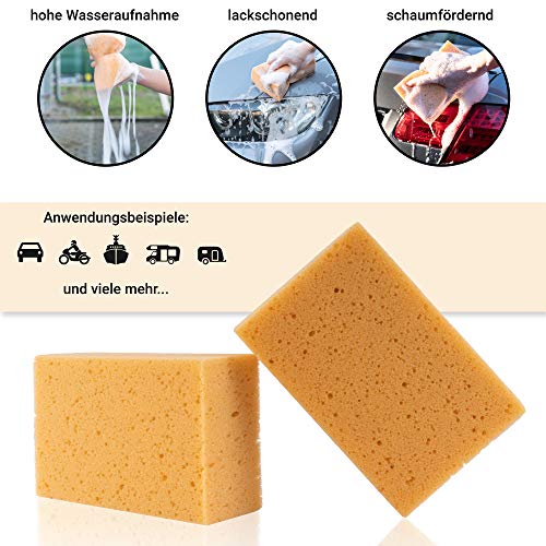 C-lean House Profi Car Sponge Gentile sulla