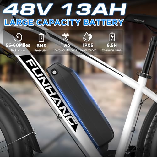 Electric Bike for Adults, 1000W Peak Ebike, 25MPH 60Miles