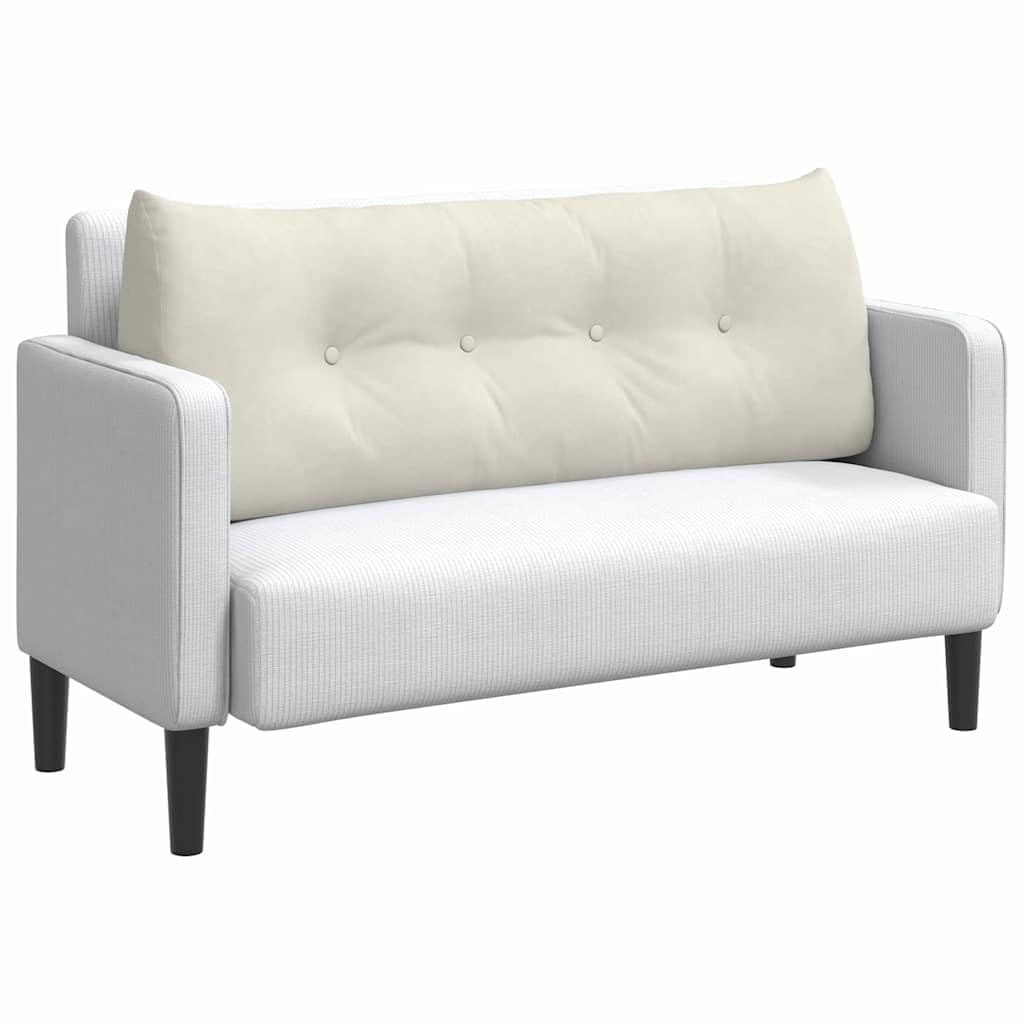 Genérico Cojín de espalda Crema 120 x 24 x 50 cm Terciopelo con Bolsillo Lateral, Cojín Ergonómico Terciopelo para Soporte Lumbar, Funda Desmontable, Relleno Poliéster, Ideal para Salón,
