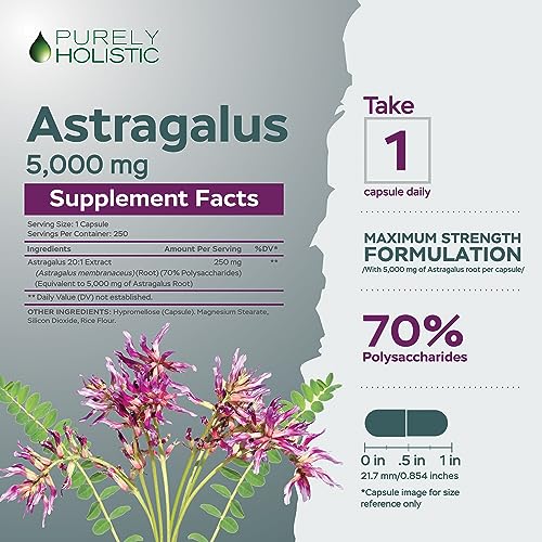 Astragalus Capsules 5,000 mg - 250 Capsules, 8+ Month Supply - Superior Strength Astragalus Root Extract 20:1 - Non GMO, Vegetarian & Vegan Friendly - Supports the Immune System & Cardiovascular - Image 4
