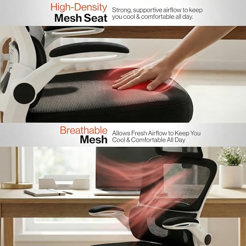 Image of DROGO Aerofly Premium Ergonomic Office Chair for Work from Home, 2D Headrest, High Back Computer Chair with Mesh, Flip-up Armrest, Recline,Adjustable Lumbar Support, Mesh Chair for Office(White Black)