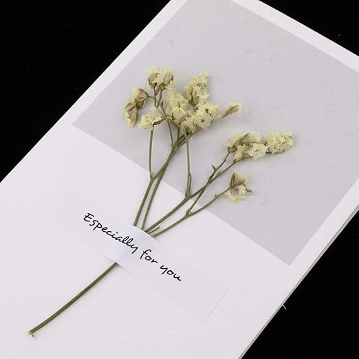 Amazon 10枚 ドライフラワー グリーティングカード Diy 招待状 結婚式 誕生日 パーティー 10タイプ選べ クリストバルイエロー 招待状 文房具 オフィス用品 Amazon 10枚 ドライフラワー グリーティングカード Diy 招待状 結婚式 誕生日 パーティー 10タイプ選べ クリストバルイエロー 招待状 文房具 オフィス用品