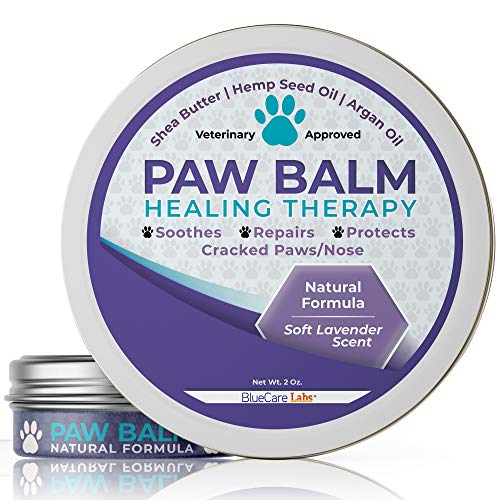 BLUECARE LABS Paw Soother Heals Dry, Cracked Irritated Dog Paw Pads - Organic Natural Ingredients Paw Protection Against Heat & SnowÂ Repairs Damaged Dog Paws - Paw Butter with Soothing Lavender Scent