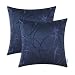 Pack of 2 CaliTime Cushion Covers Throw Pillow Covers Cases for Couch Sofa Home Decor, Modern Circles Rings Geometric, 20 X 20 Inches, Navy