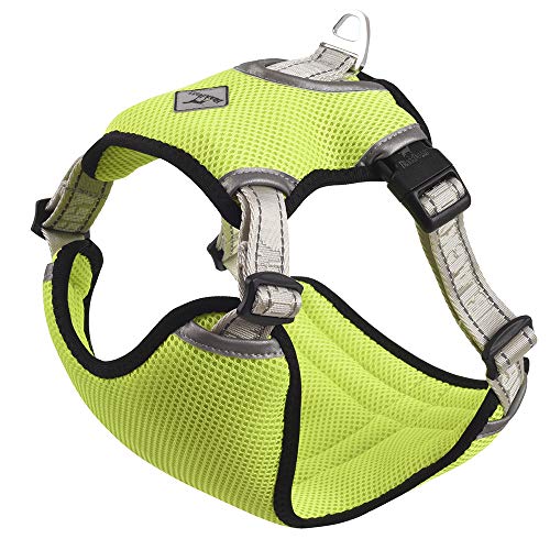 BLACKDOGGY Arnés de refrigeración para perros ajustable y reflectante para perros pequeños, medianos y grandes, caminatas al aire libre, caza, camping (pequeño, verde fluorescente) Cover