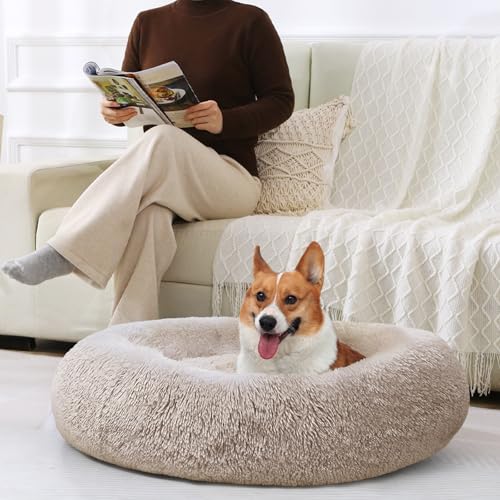 Image of JOLLYVOGUE Dog & Cat Bed, Calming Anti-Anxiety Pet Bed for Small Dogs, Fluffy Donut Cushion for Small and Medium Pets (20 inch)