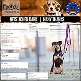 Hundeleine Nylon Erklärung