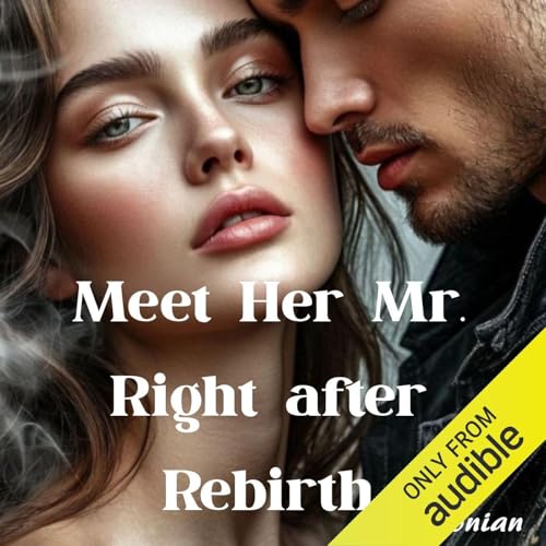 『Meet Her Mr. Right After Rebirth』のカバーアート
