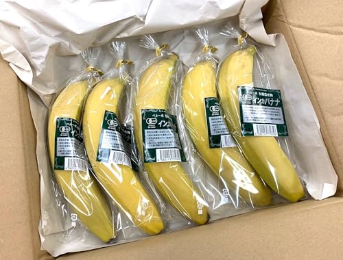 yL@F؁zy[Y I[KjbN L@oii 1{P ×10{y①z