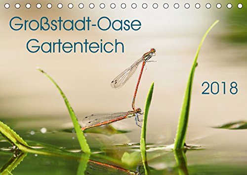 Großstadt-Oase Gartenteich (Tischkalender 2018 DIN A5 quer): Die Stille trügt (Monatskalender, 14 Seiten ) (CALVENDO Tiere) [Kalender] [Apr 14, 2017] Wibke Hildebrandt, Anne