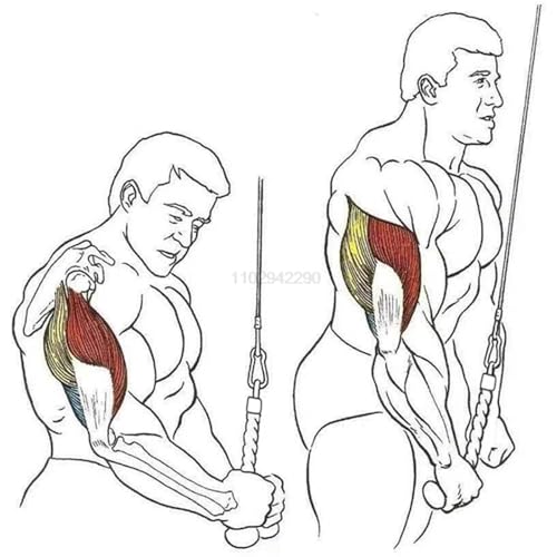 Machine de musculation : corde pour triceps robuste à prise simple pour bras