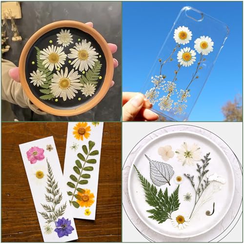 Image of 204 Pcs Dried Pressed Flowers for Resin Crafts, Real Natural Pressed Flowers and Leaves Kit Butterfly Stickers Vacuum Sealed Dry Flowers for DIY Epoxy Resin Jewelry Molds, Candle Soap Making, Nail Art