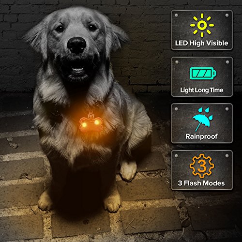 Higo Led Dog Tag - Glowing Dog Collar Light For Your Dogs Walking (2 Pack, Brown) #TOP1