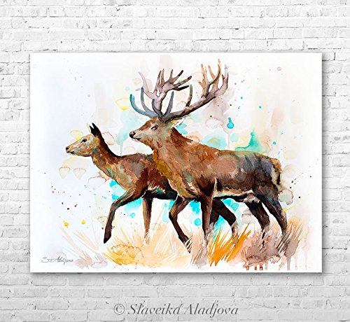 Amazon.com: Deer love watercolor painting print by Slaveika Aladjova ...