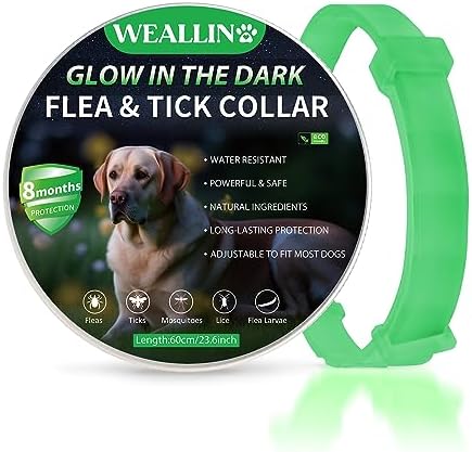 WEALLIN Luminous Safety Dog Flea Collars, 8 Months Natural Effective Flea Treatment for Dogs, Adjustable Water-Resistant Dog Flea Collar for Puppies Small Medium Large Dogs, Grey(2 Pack)